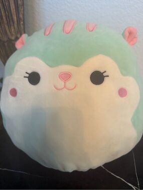 NWT Squishmallows 12" Mita the Badger & Serene the Squirrel Flip-A-Mallow